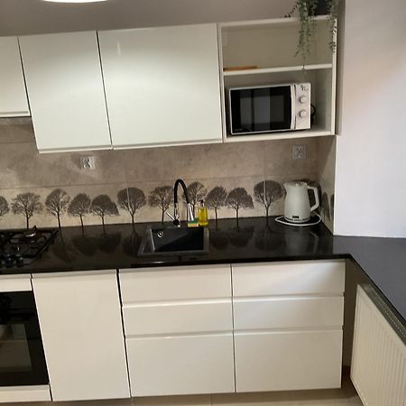 דירות קרקוב Omorika Na Zamkowej מראה חיצוני תמונה